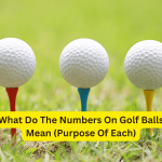 What Do The Numbers On Golf Balls Mean (Purpose Of Each)